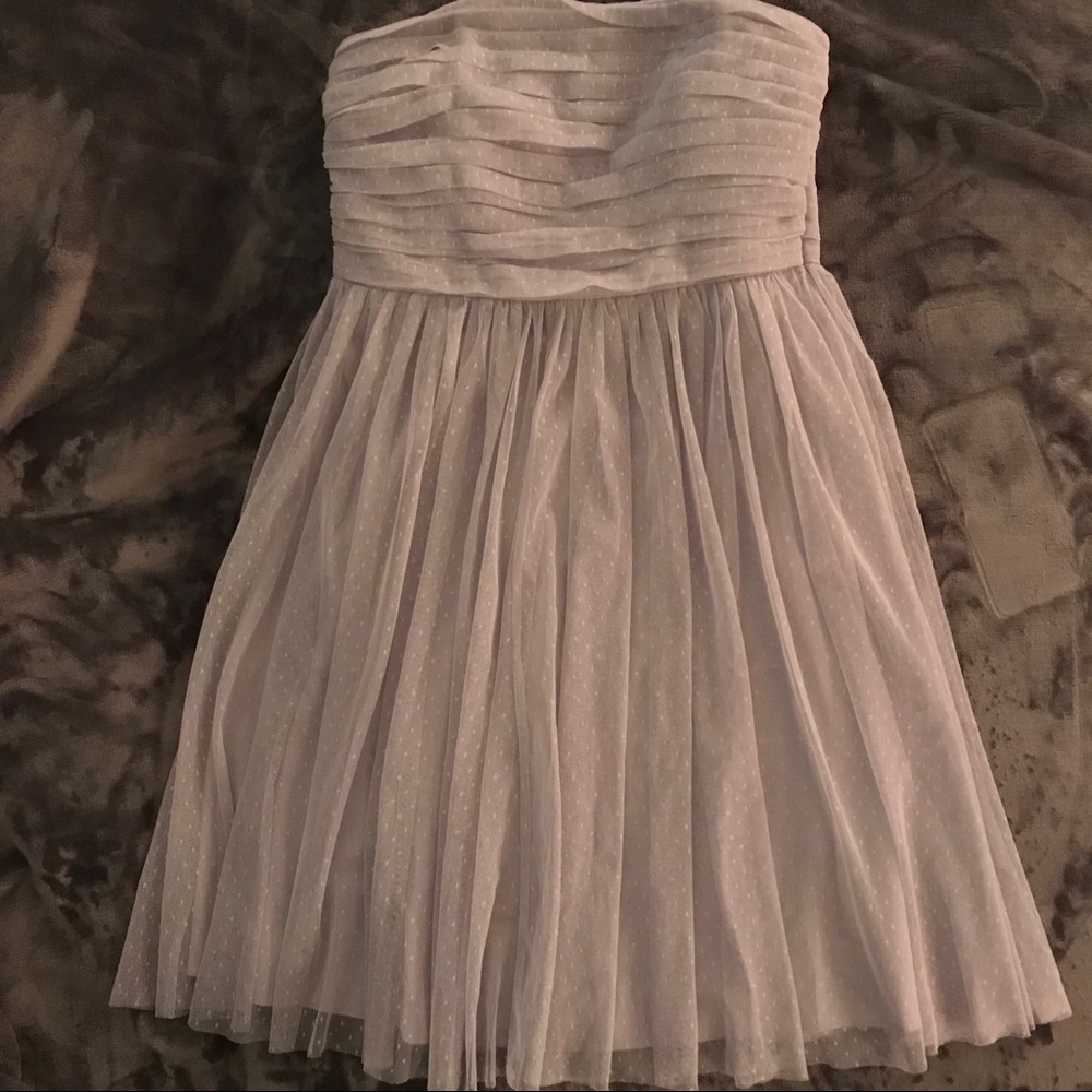 Ann Taylor Tulle Swiss Dot A-Line Dress